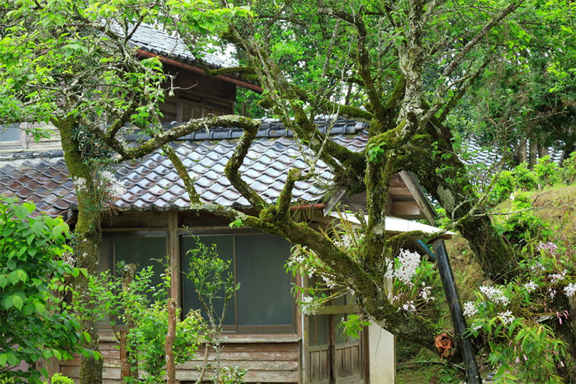 空き家の再建築不可物件も買取対象ですか？